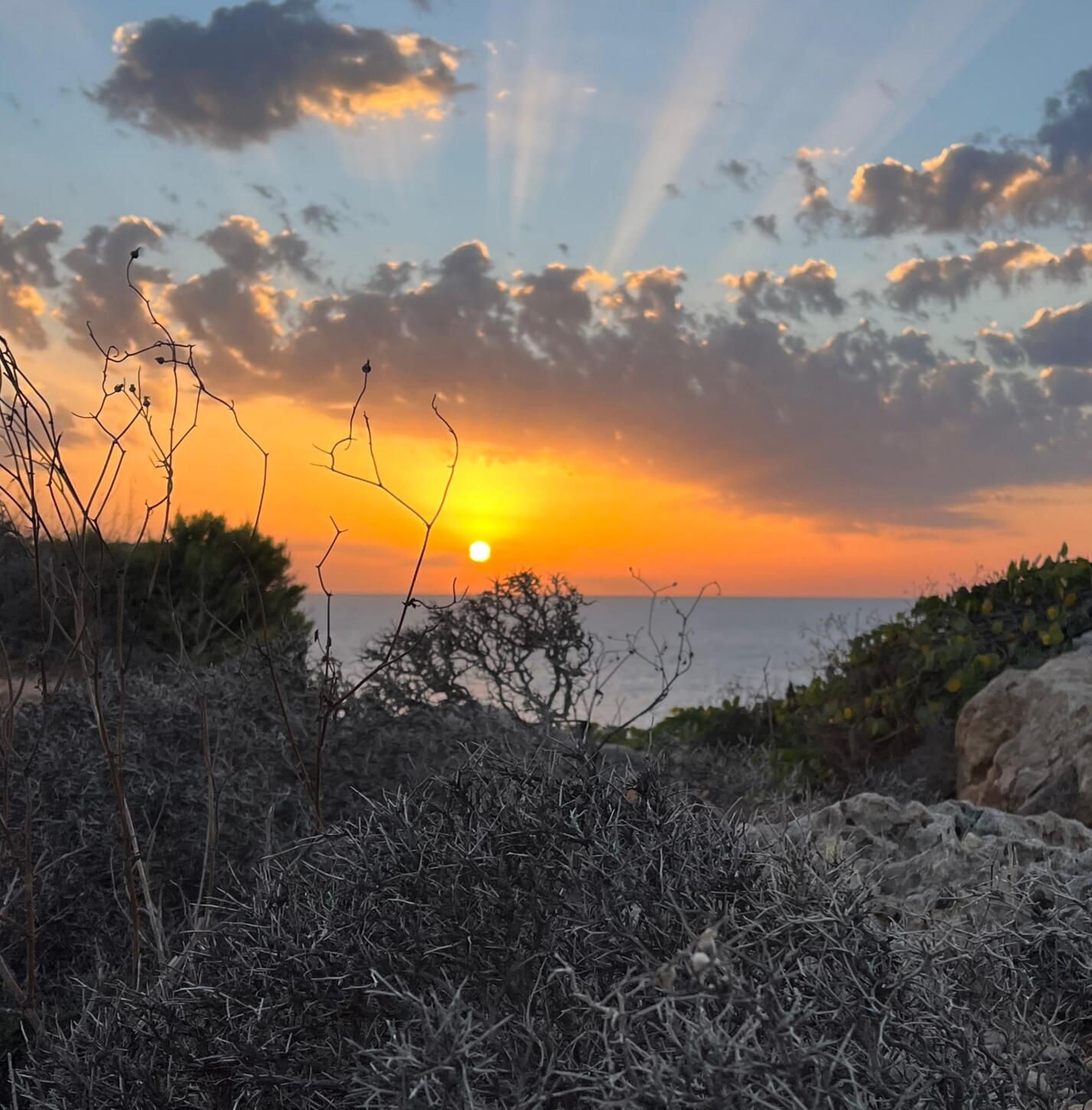 Immagine Paradise Bay